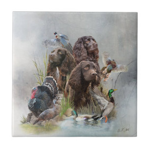 O Boykin Spaniel