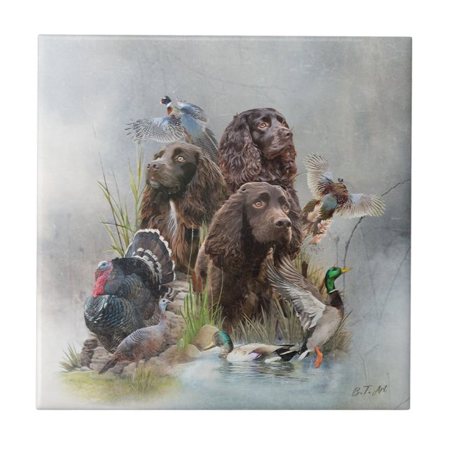 O Boykin Spaniel (Frente)