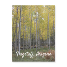 O brilho amarelo de Aspen