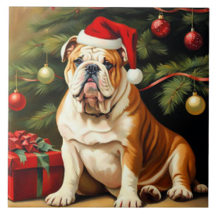 O Bulldog Inglês em Santa Chapéu,