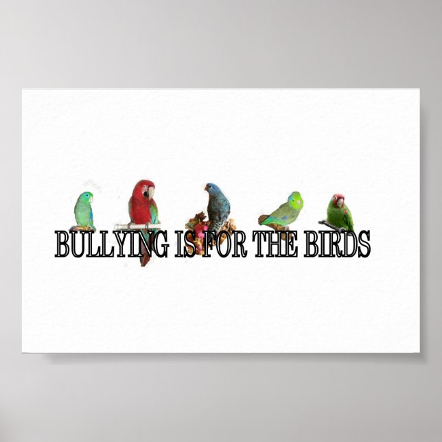 O bullying é para os pássaros Poster (Frente)