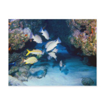 O BURACO NO CARTÃO DE PAREDE