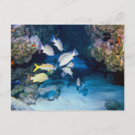 O BURACO NO CARTÃO DE PAREDE