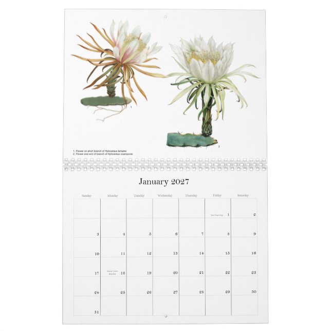 O cacto floresce o calendário (Jan 2027)