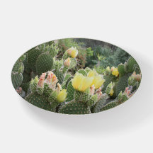 O cacto floresce o Paperweight