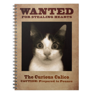 O caderno curioso do gatinho da chita