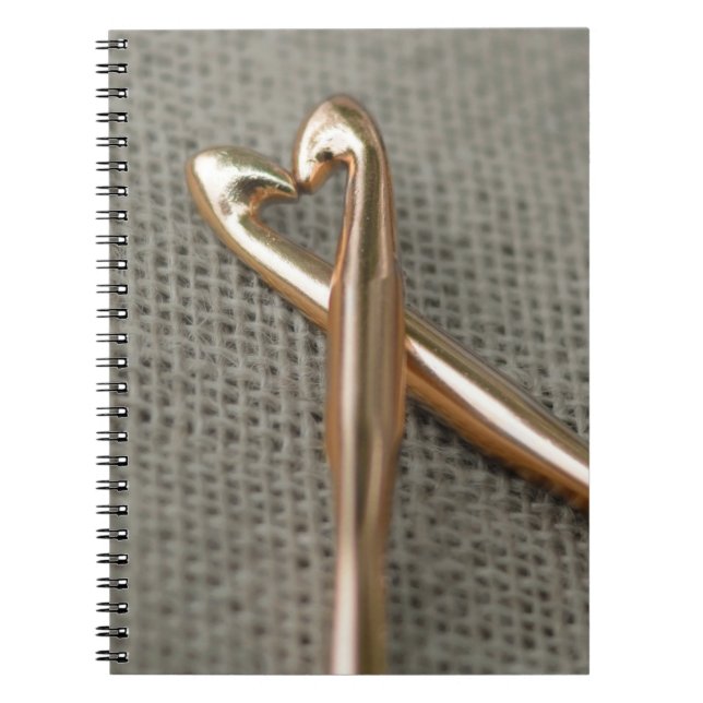 O caderno dos amantes do Crochet (Frente)