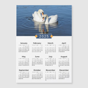 O Calendar Love Swans Foto Magnet 2025
