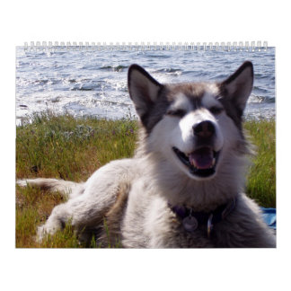 O calendário 2007 de Quinn