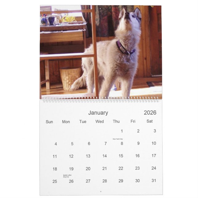 O calendário 2007 de Quinn (Jan 2026)