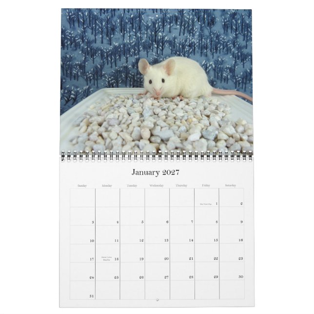 O calendário 2012 do amante do rato (Jan 2027)