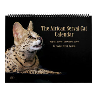 O calendário africano do gato do Serval