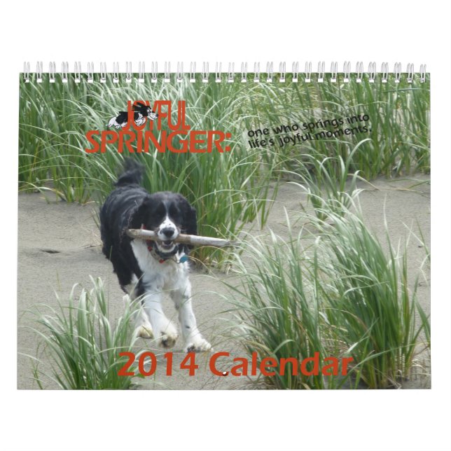 O calendário alegre de Springer 2014 (Capa)