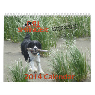 O calendário alegre de Springer 2014
