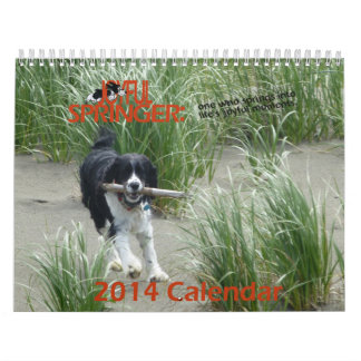 O calendário alegre de Springer 2014