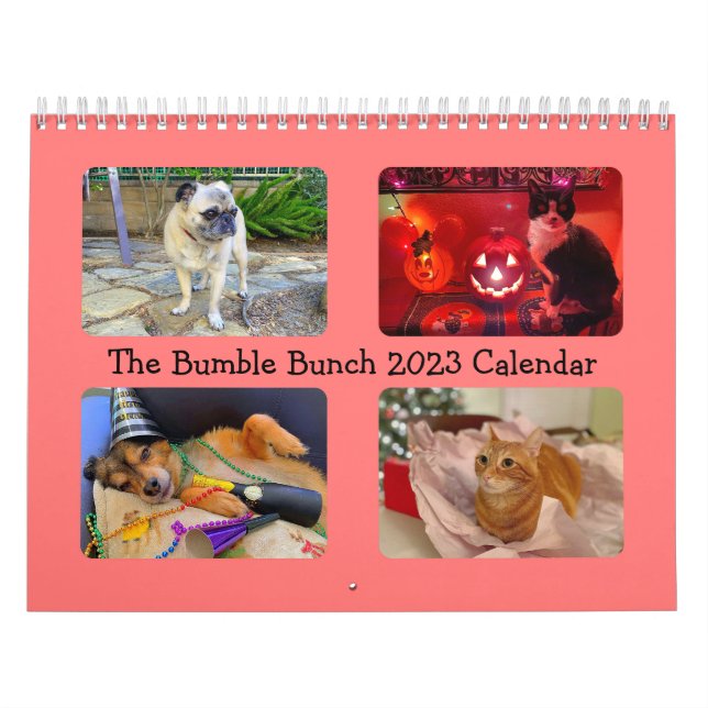 O Calendário Bumble Bunch 2023 (Capa)