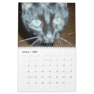 O calendário CAT PRETO