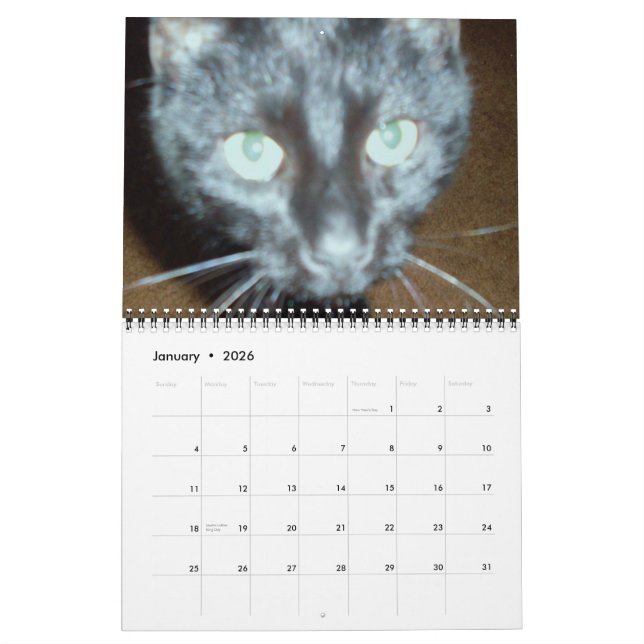 O calendário CAT PRETO (Jan 2026)