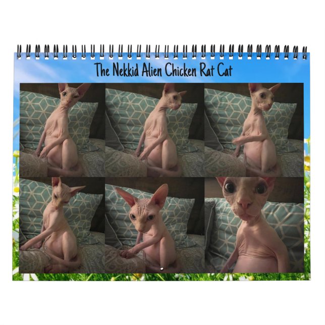 O Calendário da Alienígena Nekboy 2024 (Capa)