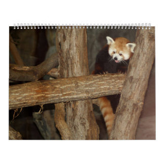 O calendário da foto dos animais selvagens