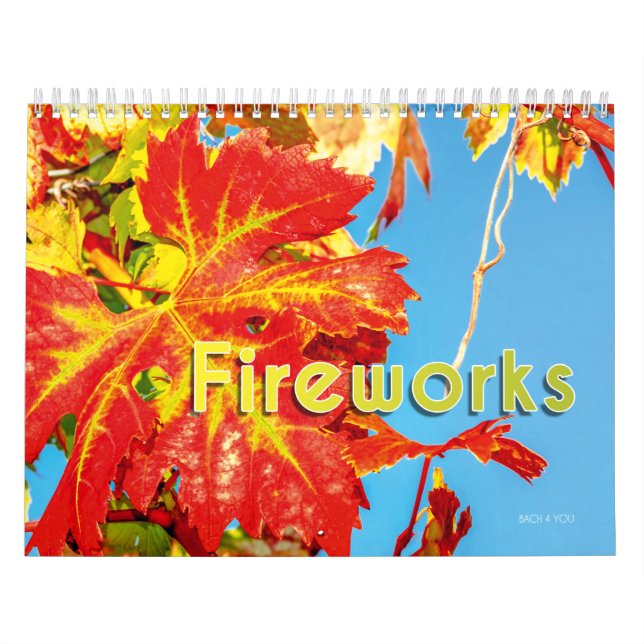 O Calendário Da Parede Do Vinho - Fogos De Artifíc (Capa)