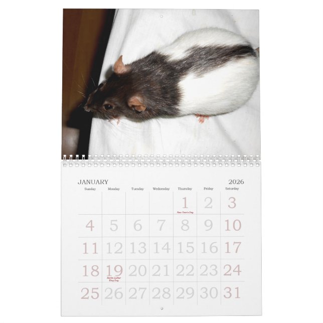 O calendário de 2015 do Rat Lover (Jan 2026)