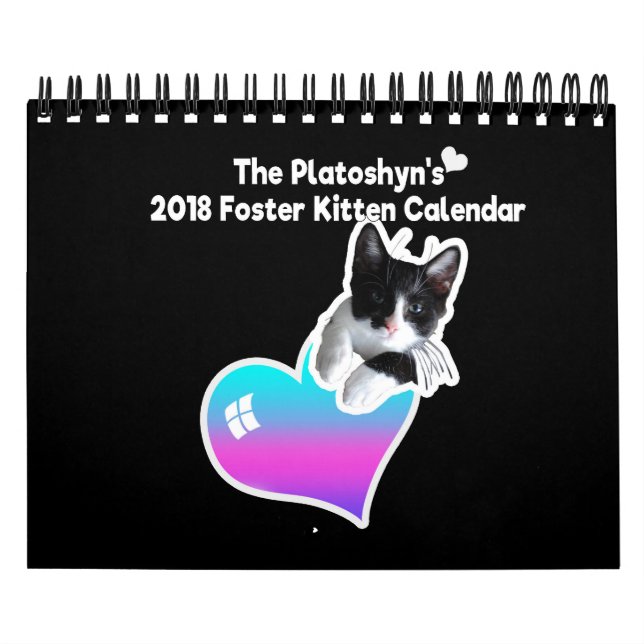 O calendário de 2018 de Foster Kitten de Platoshyn (Capa)