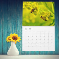 O Calendário de Abelhas e Flores - Qualquer Ano