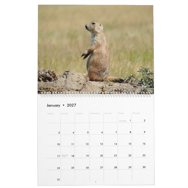 O calendário de cauda negra do cão de pradaria (Jan 2027)