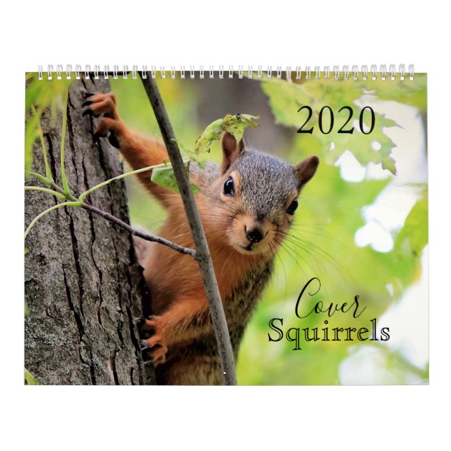 O Calendário de Cobrir Esquilos 2020 (Capa)