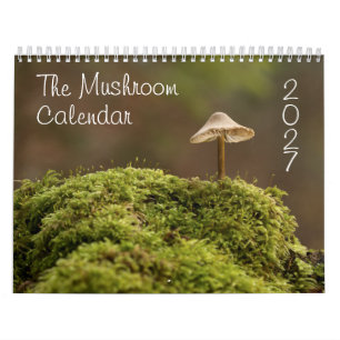 O Calendário de Cogumelos para 2027 Belas Fotos