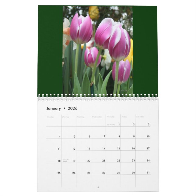 O calendário de Karen!  2011 (Jan 2026)