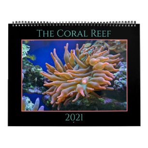 O Calendário de Recife de Coral