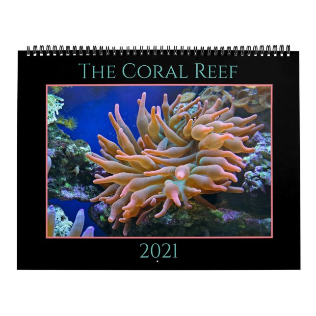 O Calendário de Recife de Coral (Capa)