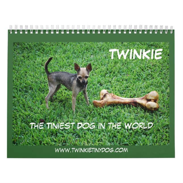 O CALENDÁRIO DE TWINKIE (Capa)