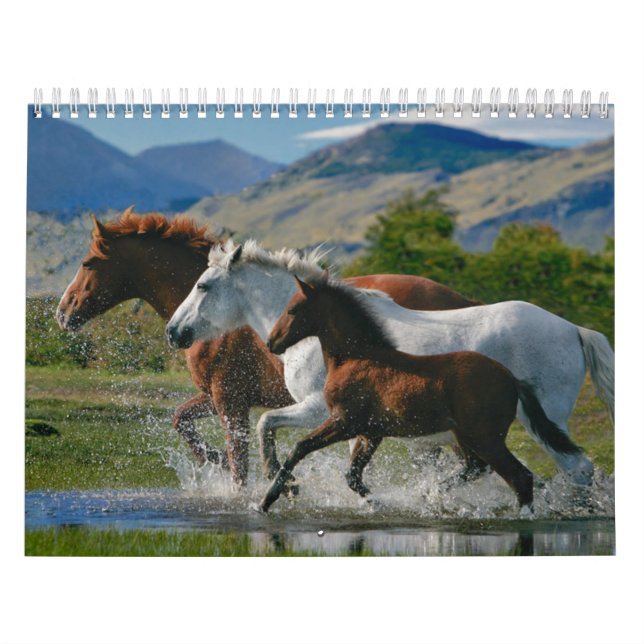 O calendário do amante do cavalo (Capa)