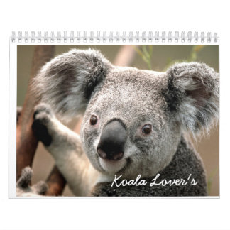 O calendário do amante do Koala