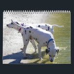 O Calendário do DogWood 2007<br><div class="desc">Um calendário de alguns dos cachorros maravilhosos encontrados no DogWood Park de Jacksonville.</div>