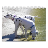 O Calendário do DogWood 2007