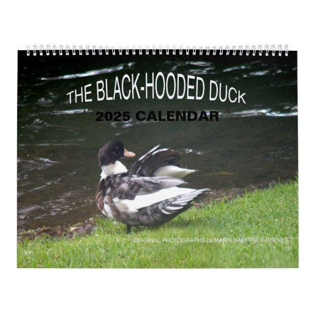 O CALENDÁRIO DO DUCK 2025 DE CABO NEGRO (Capa)