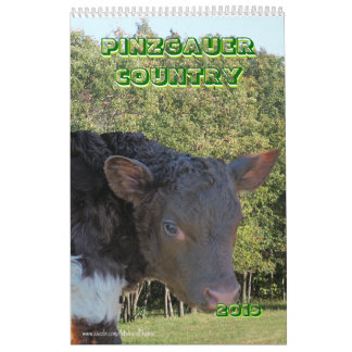 O calendário do gado de Pinzgauer 2013 personaliza