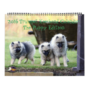 O calendário do Keeshond de 2016 trombetas: Ediç
