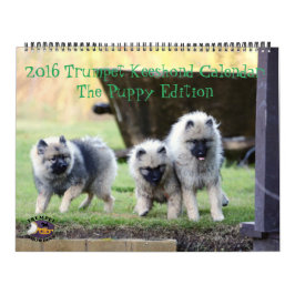 O calendário do Keeshond de 2016 trombetas: Edição