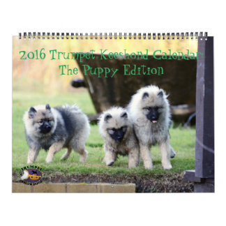 O calendário do Keeshond de 2016 trombetas: Edição