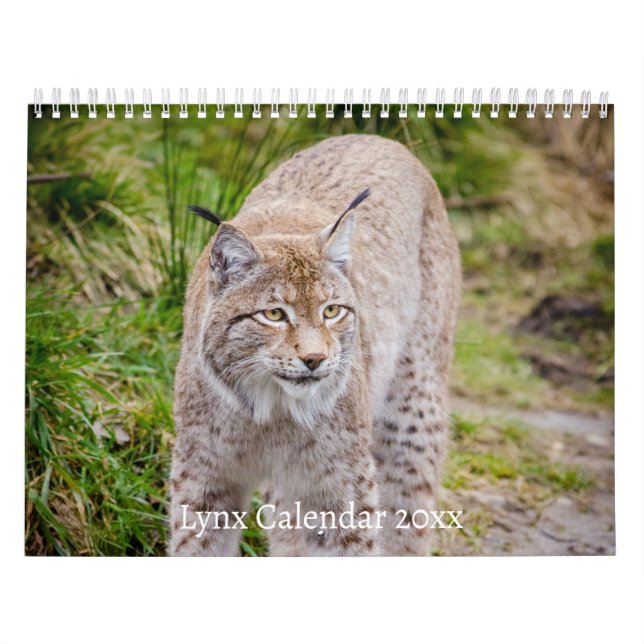 O Calendário do Lynx Wildlife (Capa)