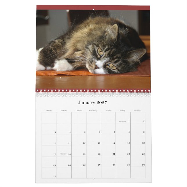O calendário do pisco de peito vermelho (Jan 2027)
