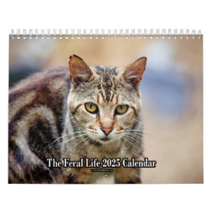 O Calendário Feral LIfe Photo Cats 2025