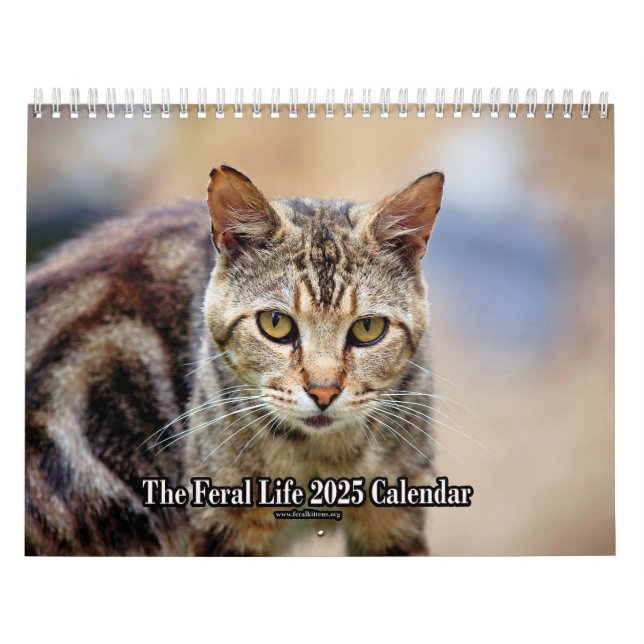 O Calendário Feral LIfe Photo Cats 2025 (Capa)