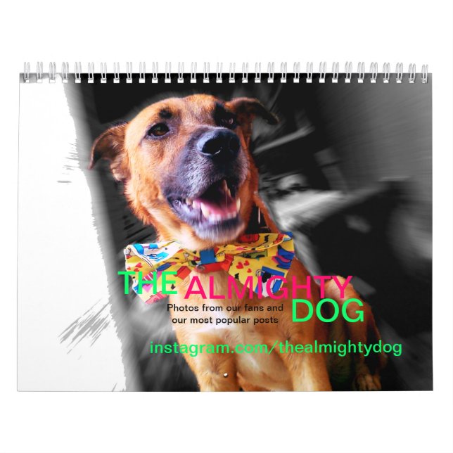 O calendário o mais bonito dos animais do cão (Capa)
