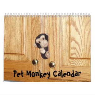 O calendário oficial do macaco do animal de